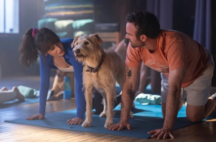 Exciting New Christmas Movies Coming in 2025: From A Very Jonas Christmas to Merv