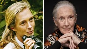 Jane Goodall