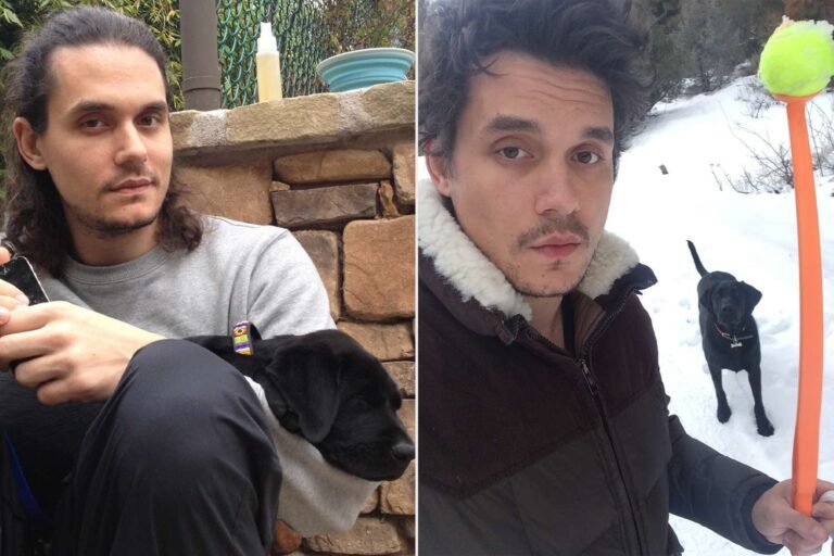 John Mayer Shares Heartfelt Tribute to His Beloved Dog Moose, Remembering the Joy He Brought at 14