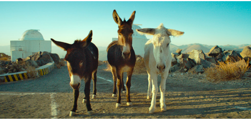 Oscar-Nominated Short Film 'Perfectly A Strangeness' Explores Desert Landscapes and Unique Observatories