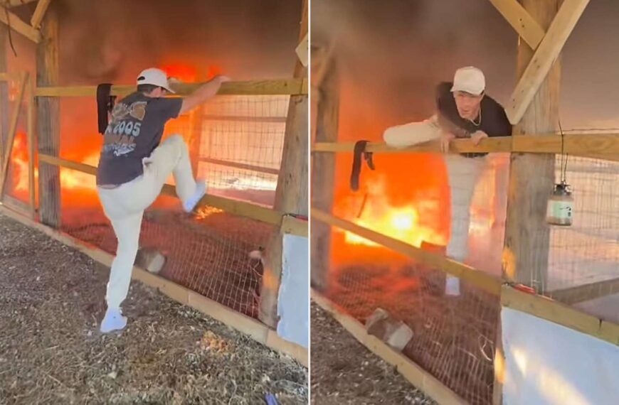 Tayler Holder Helps Save Goats from a Raging Fire at a Country Star's Farm