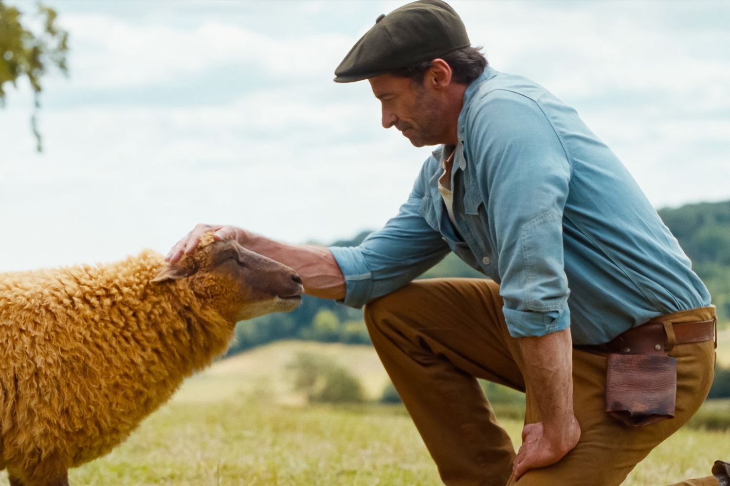 Hugh Jackman Stars in a Charming Mystery Where Sheep Help Solve a Murder in The Sheep Detectives Trailer