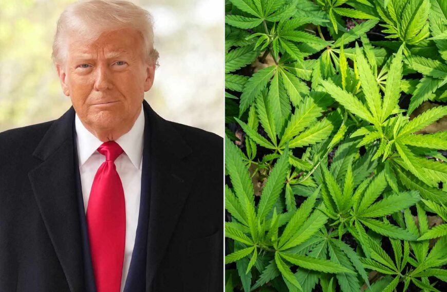 Trump Brands Himself as the 'President of Common Sense' in Move to Reclassify Marijuana as a Less Dangerous Drug