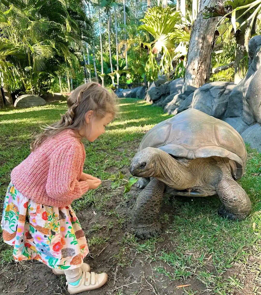 Bindi Irwin’s Daughter Grace with tortoise