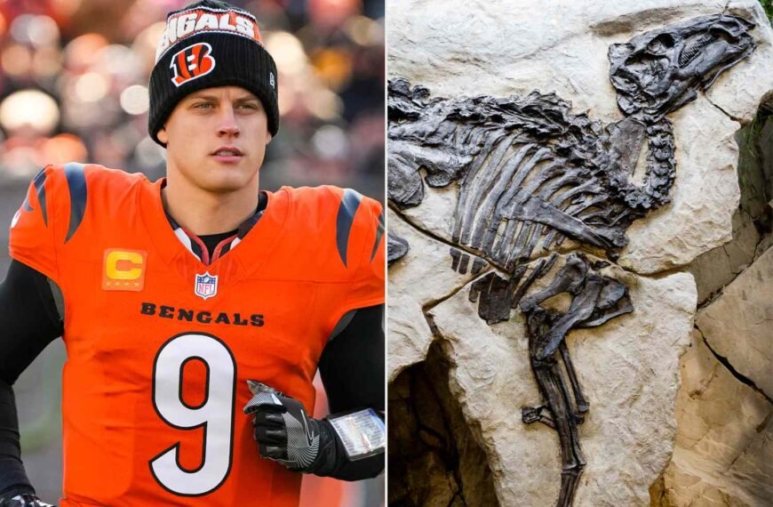 Joe Burrow Surprises Bengals Teammates with Thoughtful Christmas Gifts, Featuring Real Dinosaur, Bear, and Mammoth Fossils