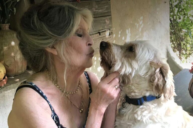 Brigitte Bardot's Last Post Showed Her Love for Rescue Animals a Day Before She Passed Away