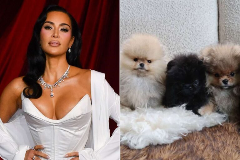 Kim Kardashian Faces PETA's Criticism for Giving Each Child a Puppy This Christmas: A Reminder That Pets Aren't Toys
