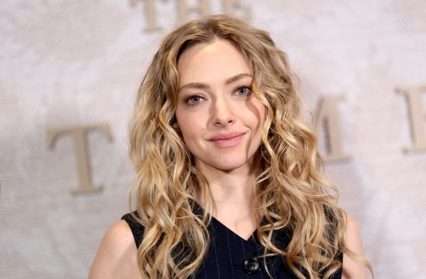 Amanda Seyfried Rocks a Cheeky Bodysuit with a Sheer Mesh Little Black Dress