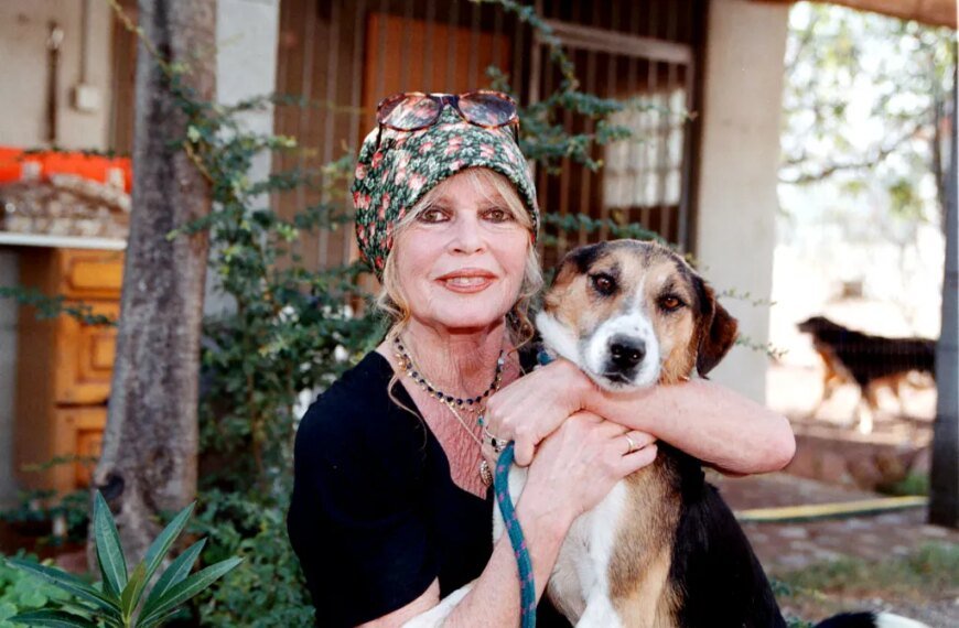Brigitte Bardot Passes Away at 91: From 1960s Sex Symbol to Dedicated Animal Advocate