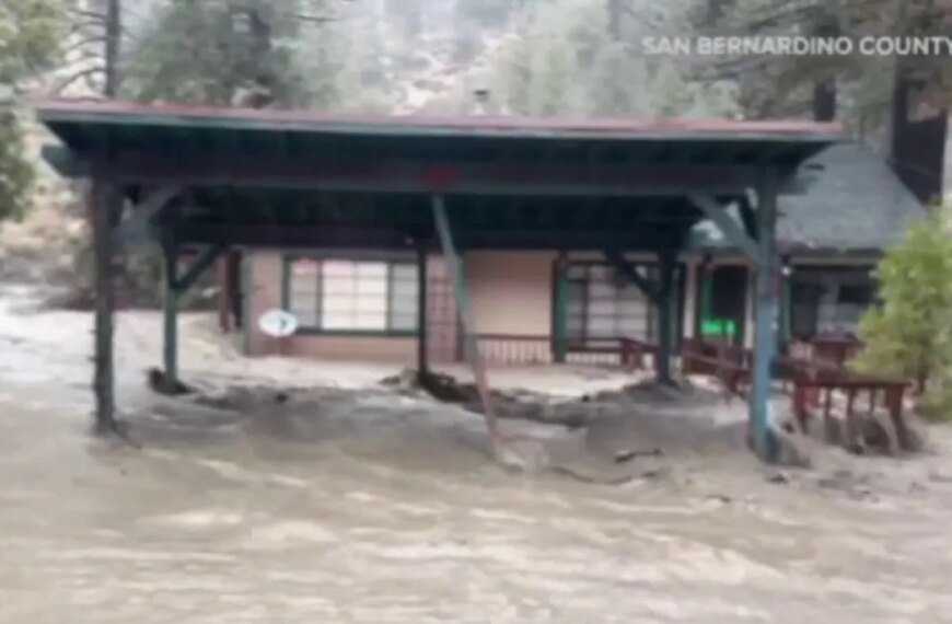 Cleanup Efforts Underway in Wrightwood Following the Recent Storm