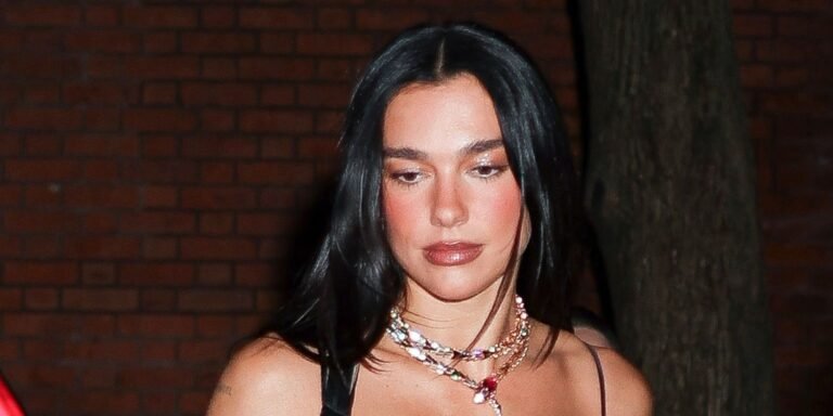 Dua Lipa Shows Off a Bold Look in a Sheer Minidress with Feathers