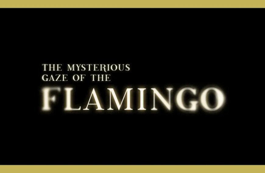 Exploring Diego Céspedes’ Flamingo-Inspired Inspirations for AIDS-Era Modern Westerns