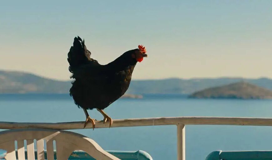 György Pálfi’s Film 'Hen' Secures Domestic Distribution Deal at TIFF