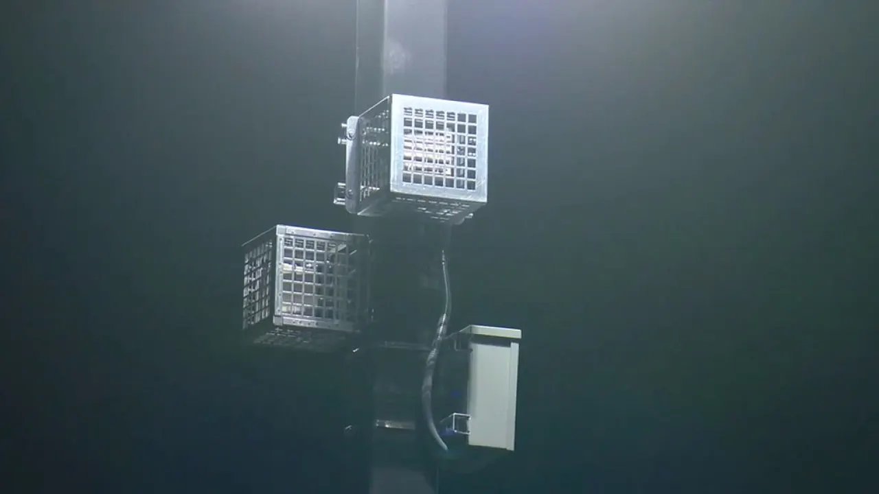 Home Depot Responds to Claims About Noise Machines Targeting Day Laborers in LA Store