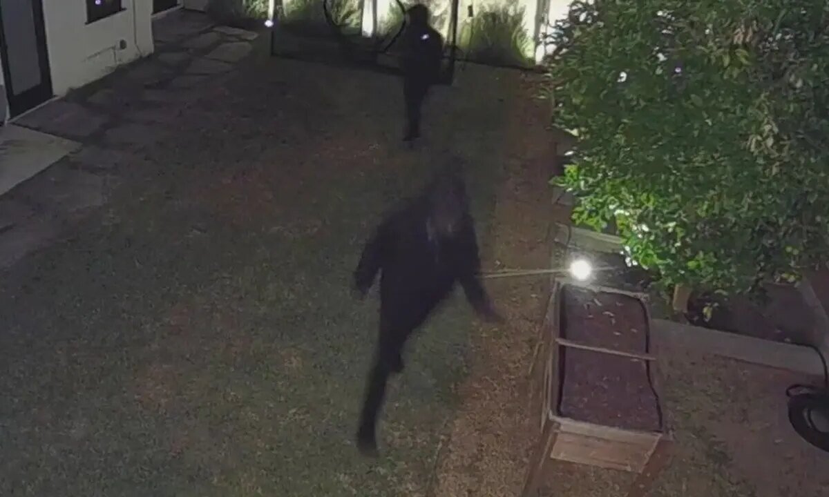 How One Los Angeles Homeowner Used AirTag to Help Recover Stolen Items