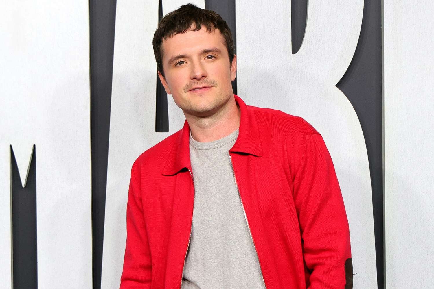 Josh Hutcherson Considered for Another Big Movie Franchise Before Getting His Hunger Games Role