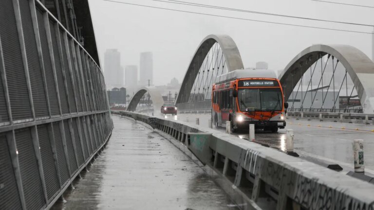 LA Handles 350 Traffic Accidents and 600 Tree Emergencies During Christmas Storms