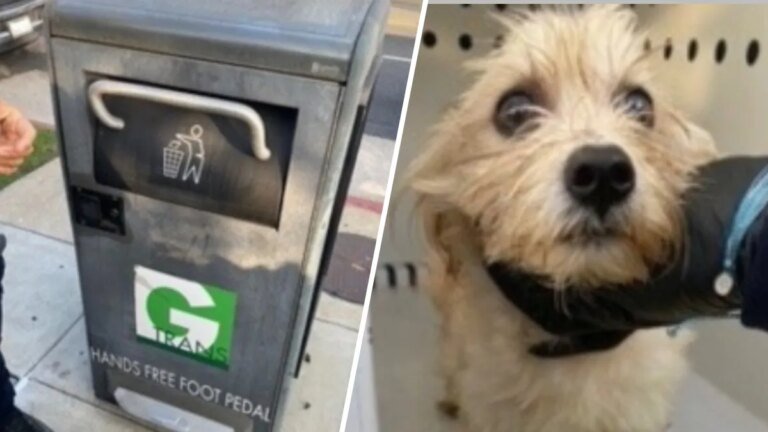 Officer Adopts Puppy Rescued from Trash Can in Gardena