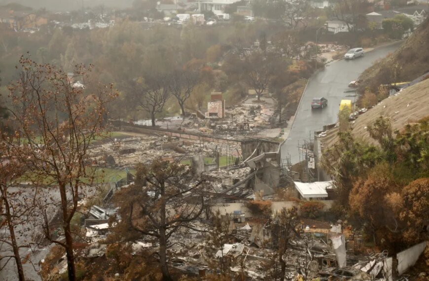 Pacific Palisades Homeowner Files Lawsuit Against Los Angeles, Requesting Jury Trial and Compensation