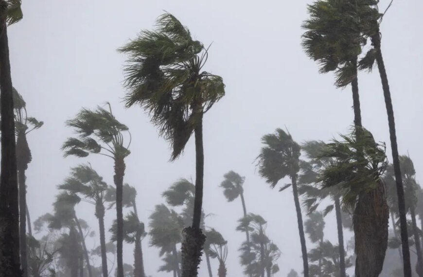 Santa Ana Winds Kick Off Southern California's Weather Changes Before New Year's Rainstorm