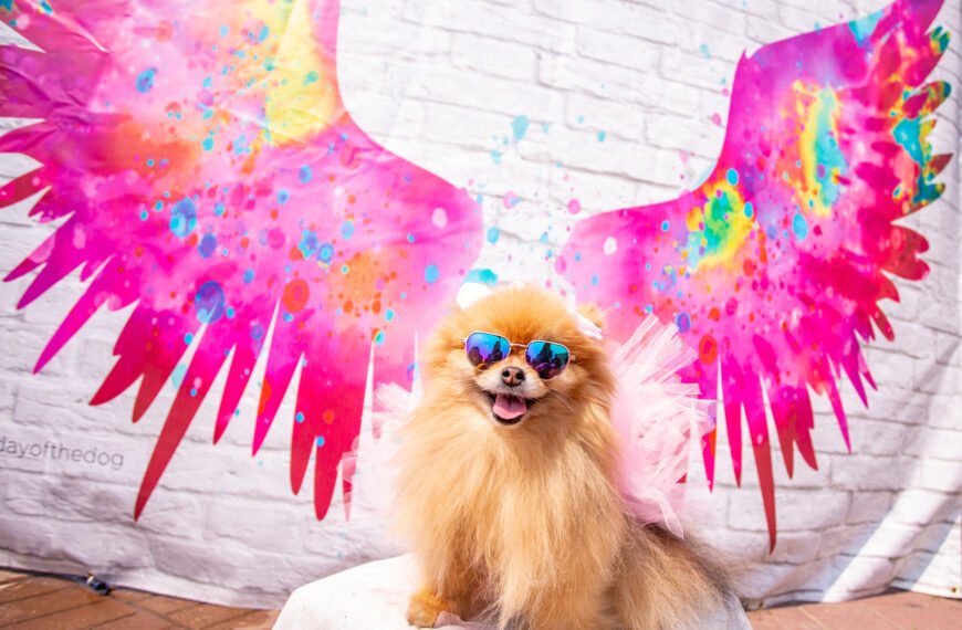 Santa Monica’s Main Street Welcomes Our Furry Friends This Sunday