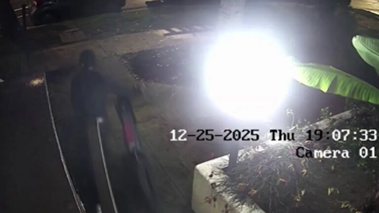 South Pasadena Mom Rallies After Twin Boys' E-Bikes Are Stolen on Christmas