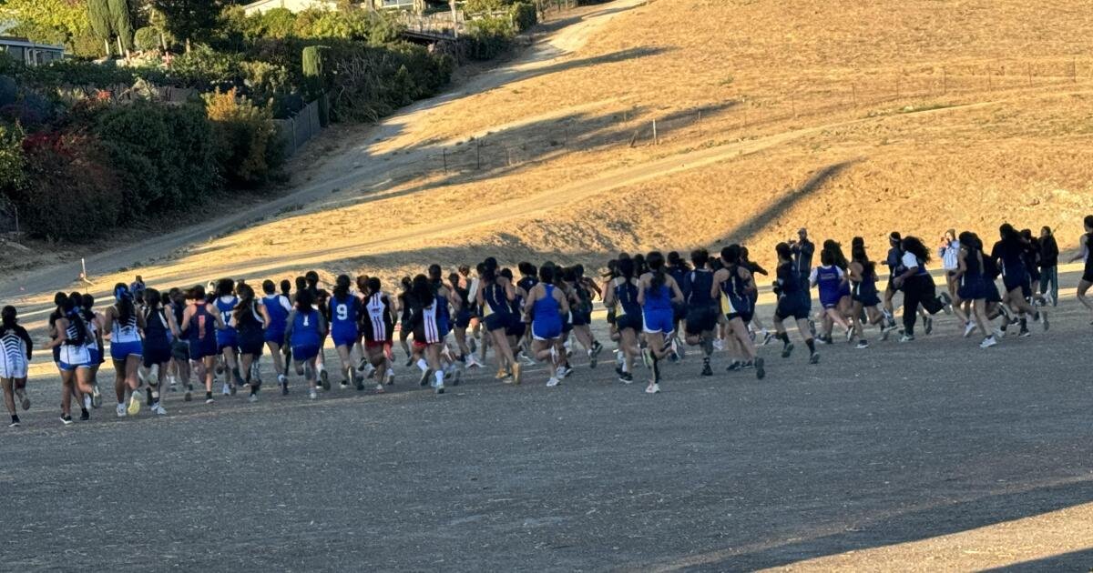 Stay Safe: Important Tips for Distance Runners Training on Southern California Streets
