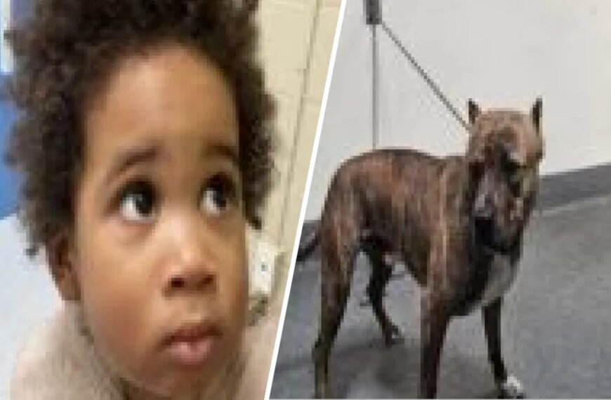 Toddler Rescued from Abandoned Car After Attempted Theft in Highland Park