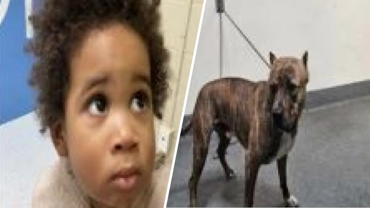 Toddler Rescued from Abandoned Car After Attempted Theft in Highland Park