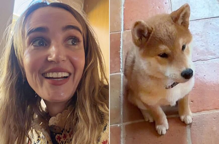 Chloe Fineman from SNL Offers Fun and Relatable Tips for Puppy Proofing Your Home After Getting a New Dog