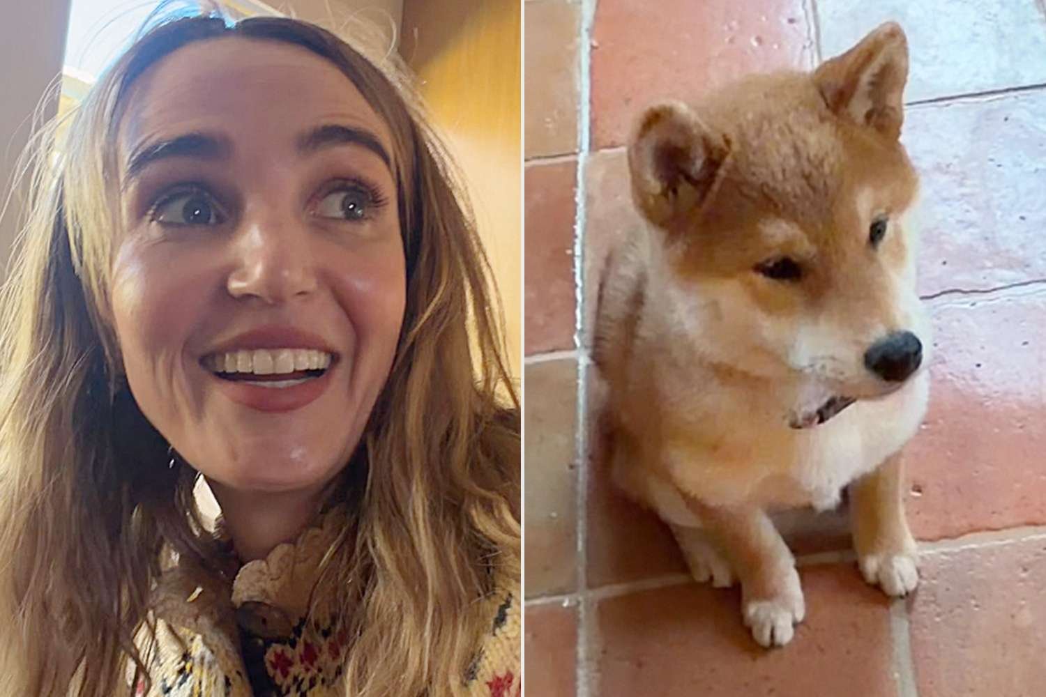 Chloe Fineman from SNL Offers Fun and Relatable Tips for Puppy Proofing Your Home After Getting a New Dog