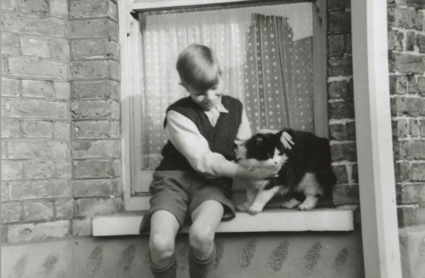 Visit David Bowie’s Childhood Home: A Unique Journey into His Early Life