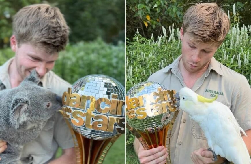 Robert Irwin Celebrates His DWTS Win by Sharing His Mirrorball Trophy with Animals at the Zoo