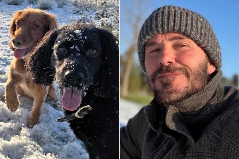 David Beckham Enjoys a Joyful Weekend in the Countryside