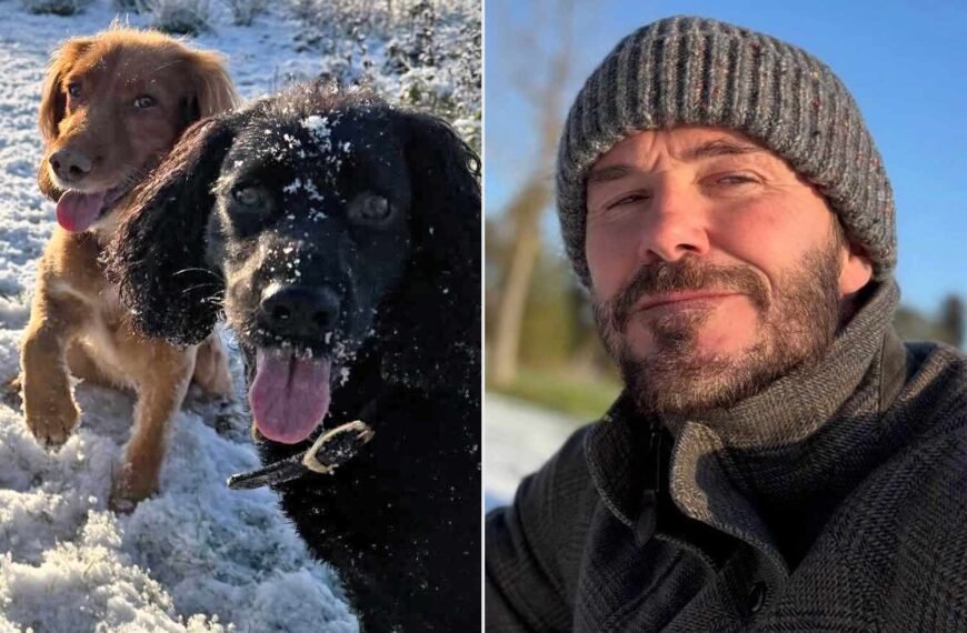David Beckham Enjoys a Joyful Weekend in the Countryside