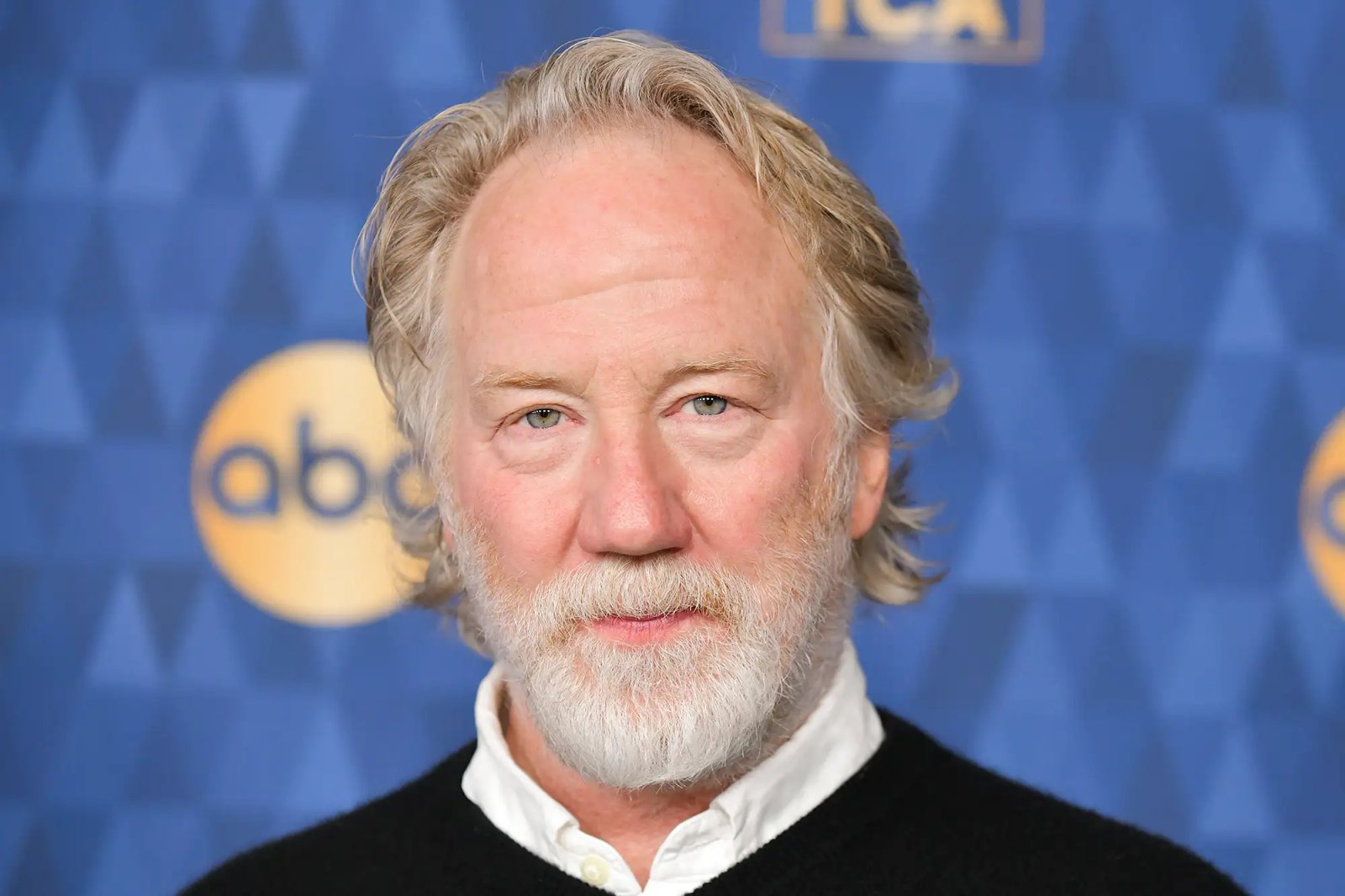 Timothy Busfield at ABC's Winter Press Tour 2020