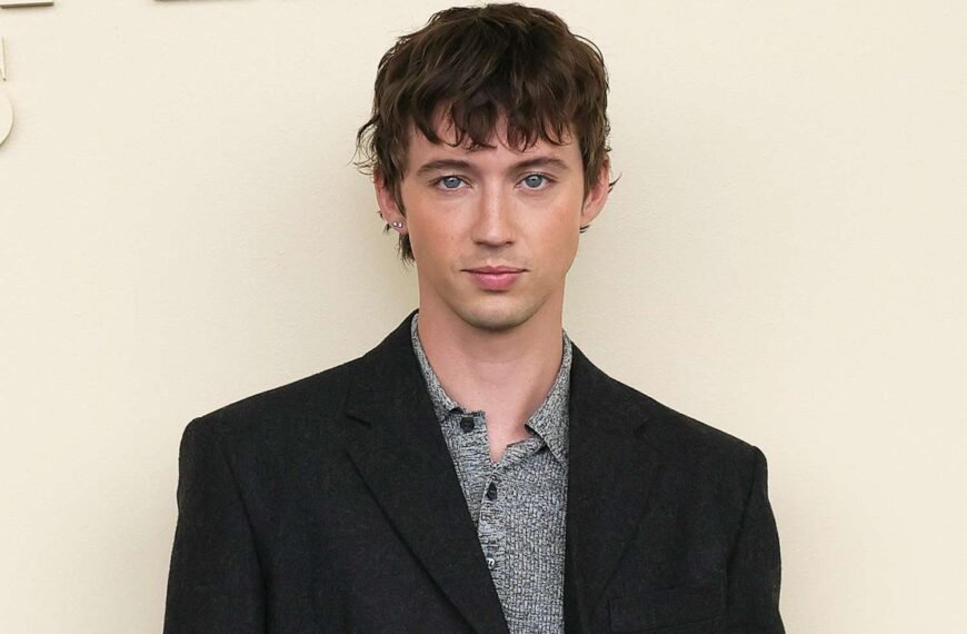 Troye Sivan Responds to TikToker's Apology Over Plastic Surgery Comment