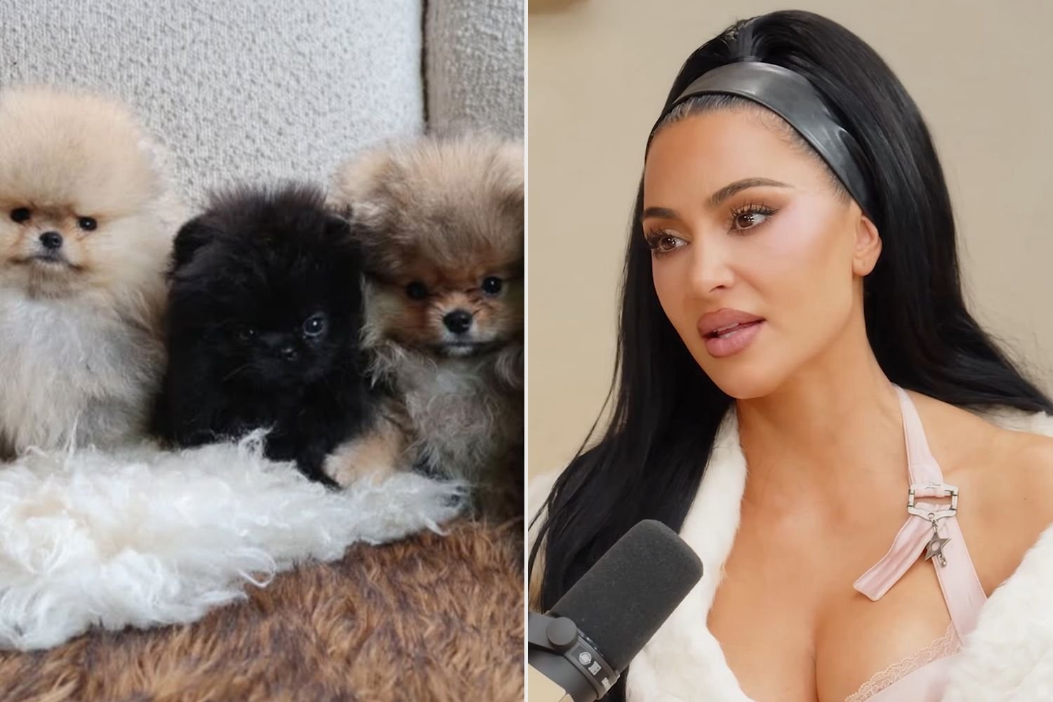 How the Puppies Kim Kardashian Gave Her Kids for Christmas Have Impacted Their Family Life