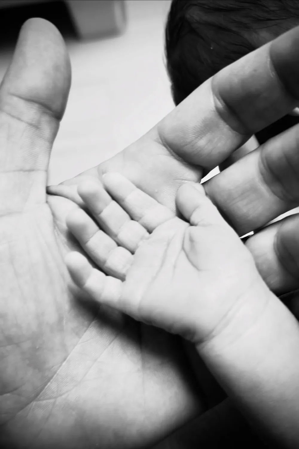 Patrick J. Adams and Troian Bellisario's baby.