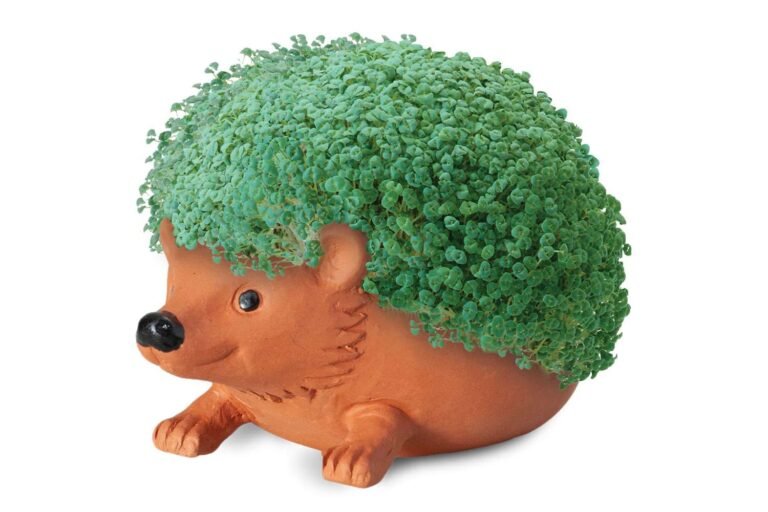 Chia Pets from the '80s Are Coming to Life in an Animated Show