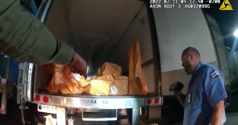 California Jewelry Heist Suspect Chooses Self-Deportation Over Trial After $100 Million Theft