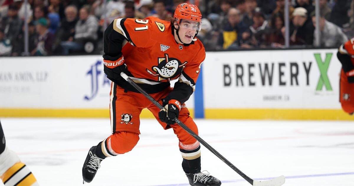 Ducks Player Leo Carlsson Out for 3-5 Weeks with Thigh Injury, May Miss Olympics