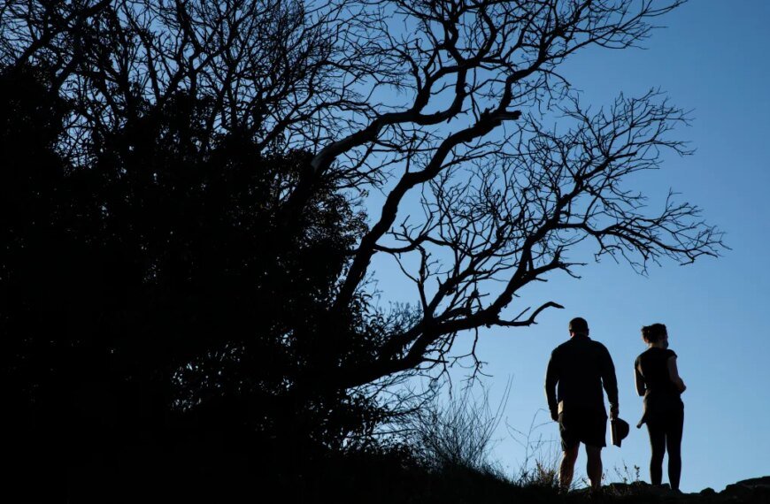 Enjoy Free Car Entry to California State Parks on Martin Luther King Day: What You Need to Know