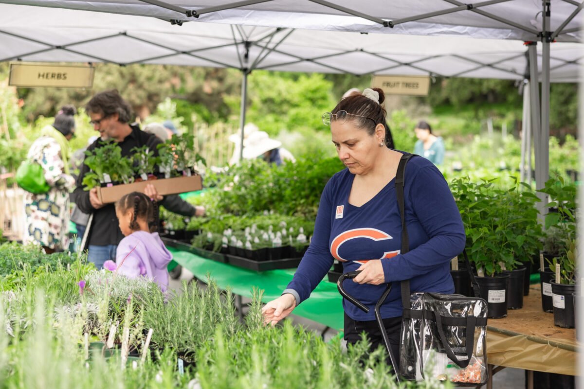 Enjoy an Early Spring in L.A. with These Plant Tips for Enthusiasts