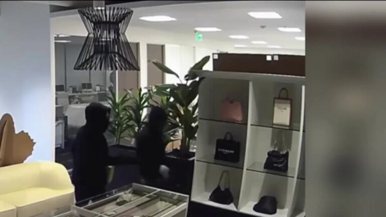 Irvine Police Prevent Theft of $100,000 in Handbags