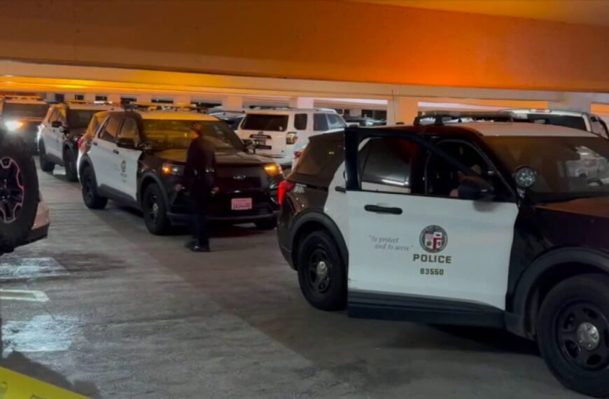 Jewelry Store Heist in Westchester Leaves Man Hurt, Says LAPD