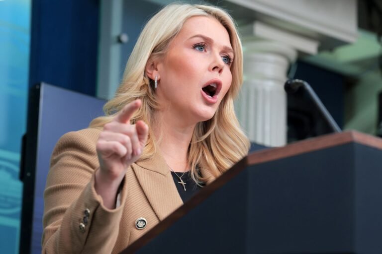 Karoline Leavitt Clashes with Reporter During Live Press Briefing About ICE Question