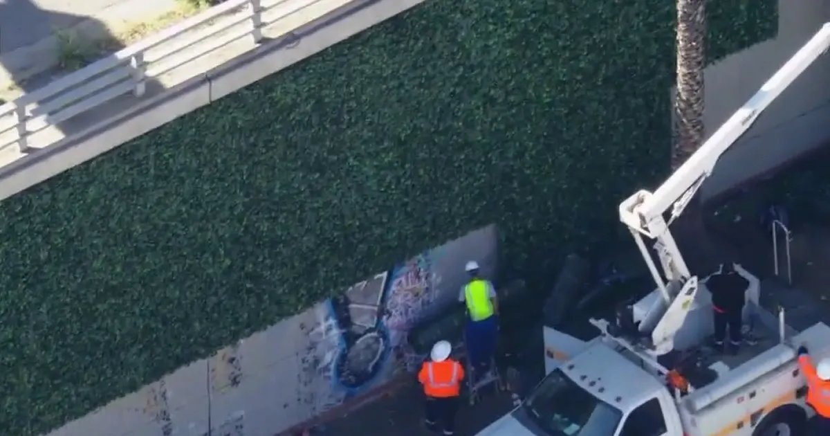 LA Spends Millions on Fake Ivy to Hide Graffiti Along the 101 Freeway