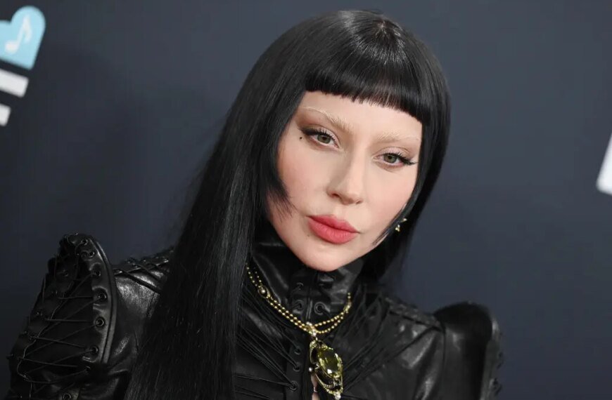 Lady Gaga Stands Up for Immigrants at Minnesota Concert, Offering Support to Those Affected by ICE