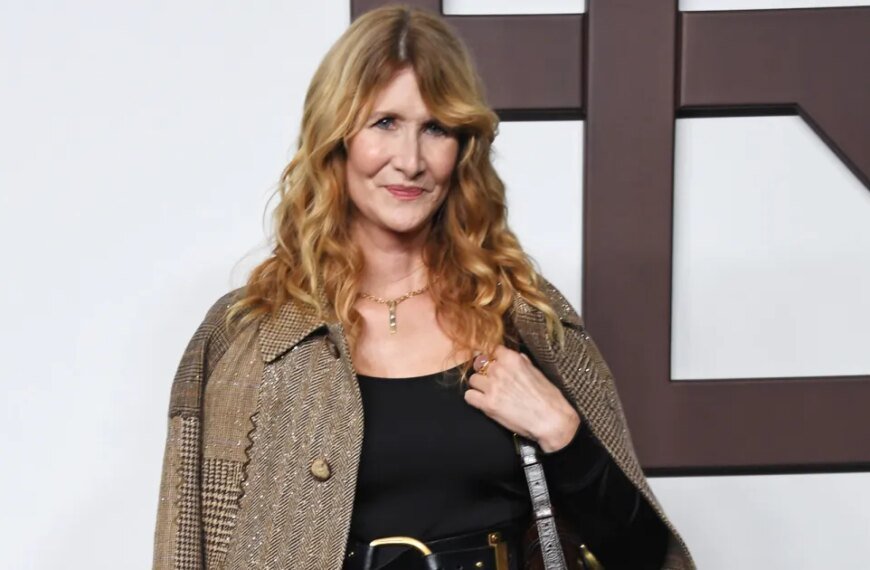 Laura Dern's Stunning Handbag Costs Over $4,000—Here's a Chic $36 Alternative